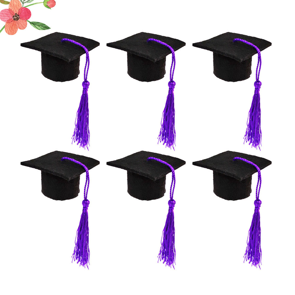 6Pcs Doctoral Cover Mini Docto - Wine Beer Hat 评论和价格